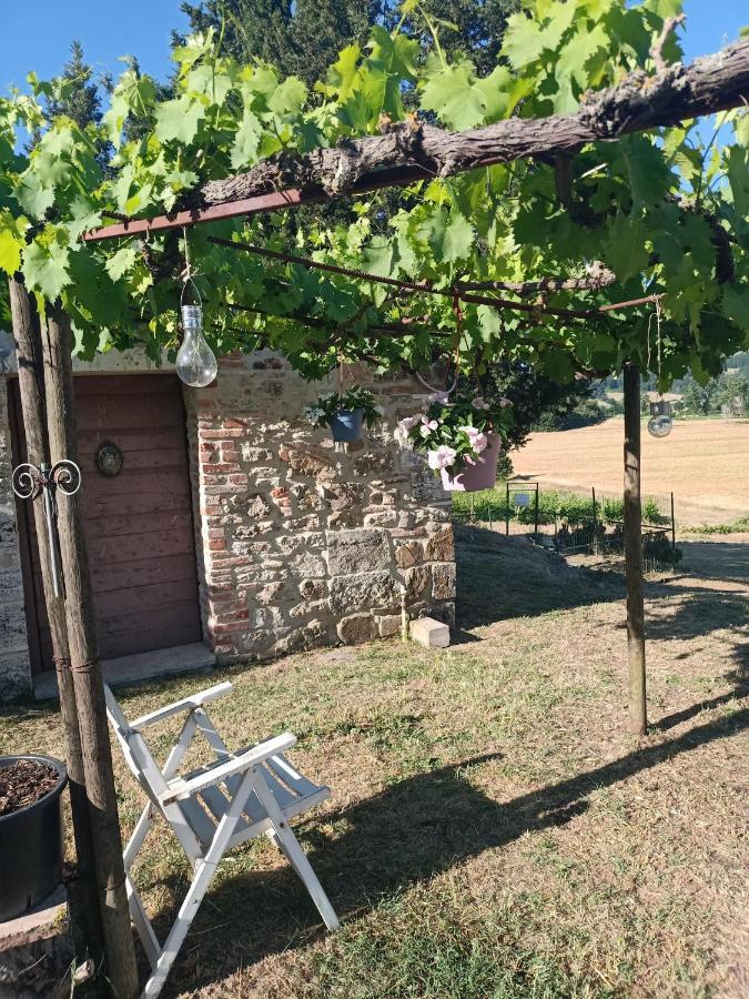 Agriturismo Podere La Selva Villa Serre Di Rapolano ภายนอก รูปภาพ
