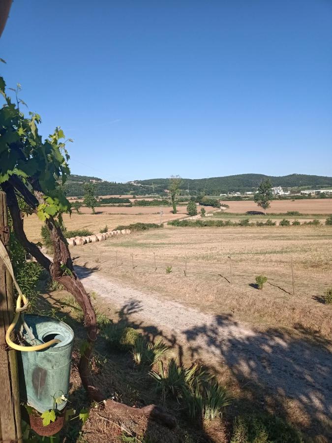 Agriturismo Podere La Selva Villa Serre Di Rapolano ภายนอก รูปภาพ