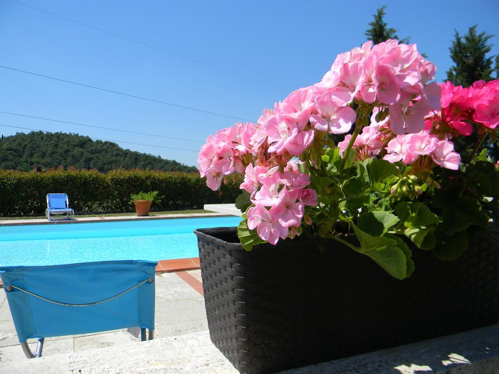 Agriturismo Podere La Selva Villa Serre Di Rapolano ภายนอก รูปภาพ