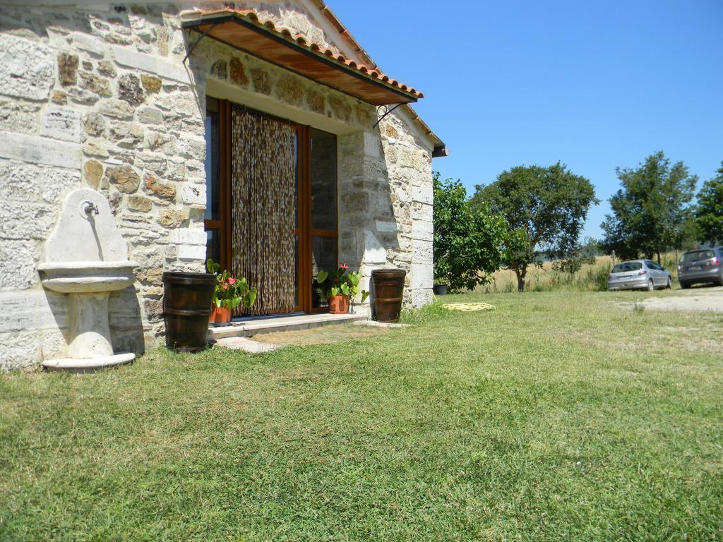 Agriturismo Podere La Selva Villa Serre Di Rapolano ภายนอก รูปภาพ