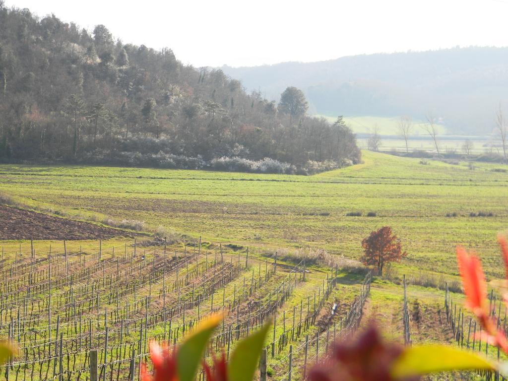 Agriturismo Podere La Selva Villa Serre Di Rapolano ภายนอก รูปภาพ