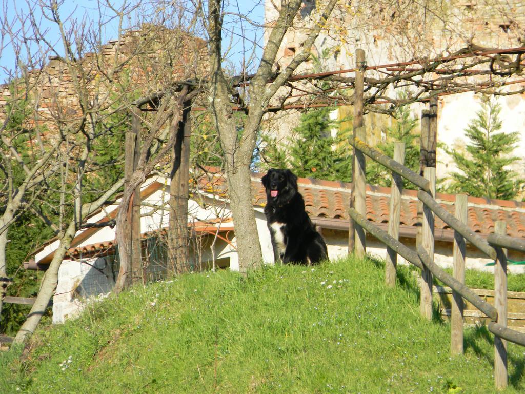 Agriturismo Podere La Selva Villa Serre Di Rapolano ภายนอก รูปภาพ