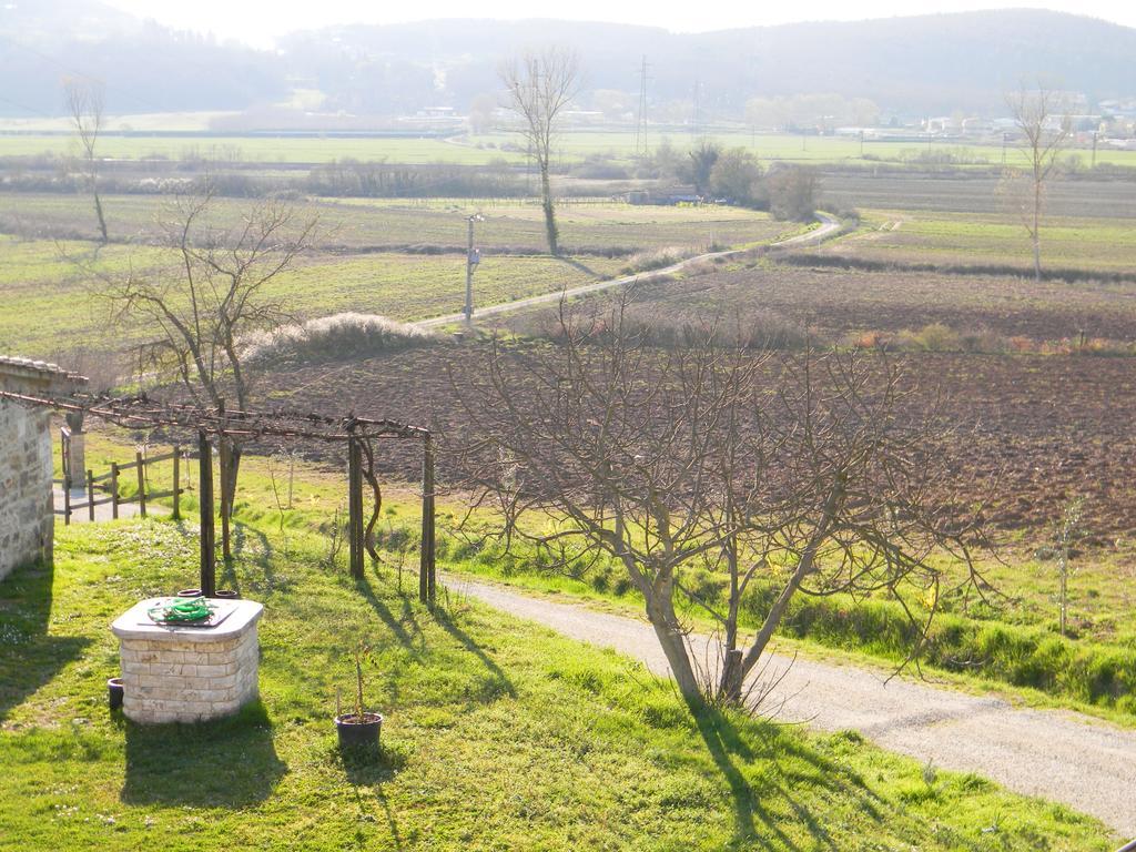 Agriturismo Podere La Selva Villa Serre Di Rapolano ภายนอก รูปภาพ