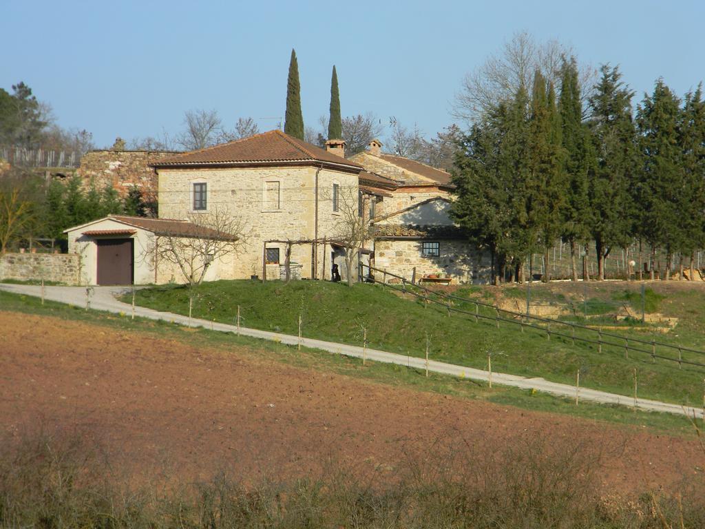 Agriturismo Podere La Selva Villa Serre Di Rapolano ภายนอก รูปภาพ