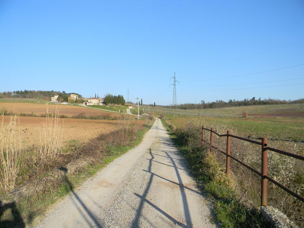 Agriturismo Podere La Selva Villa Serre Di Rapolano ภายนอก รูปภาพ