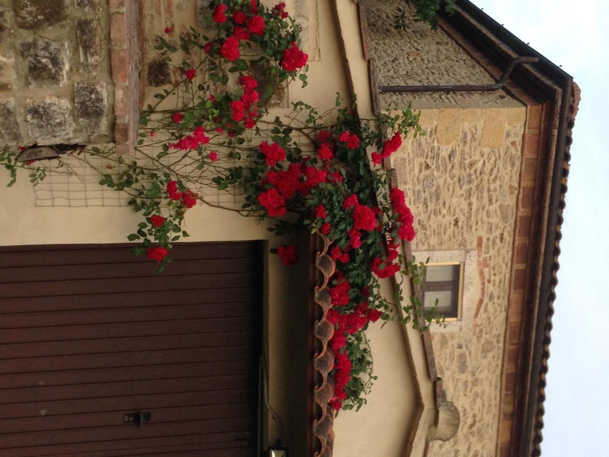 Agriturismo Podere La Selva Villa Serre Di Rapolano ภายนอก รูปภาพ