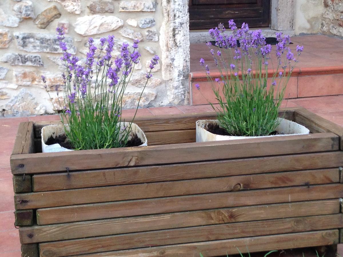 Agriturismo Podere La Selva Villa Serre Di Rapolano ภายนอก รูปภาพ